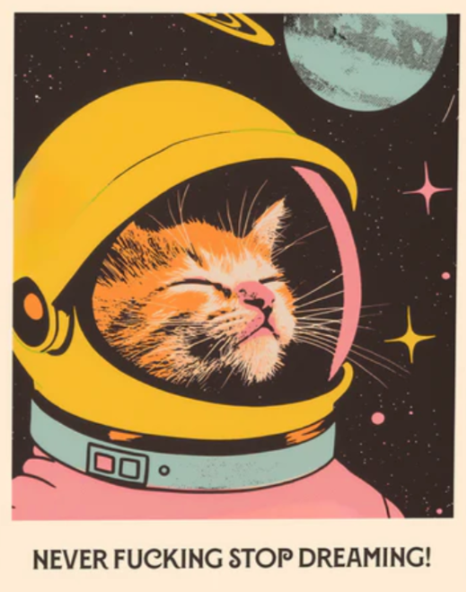 Space Cat