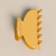 Small Claw Clip