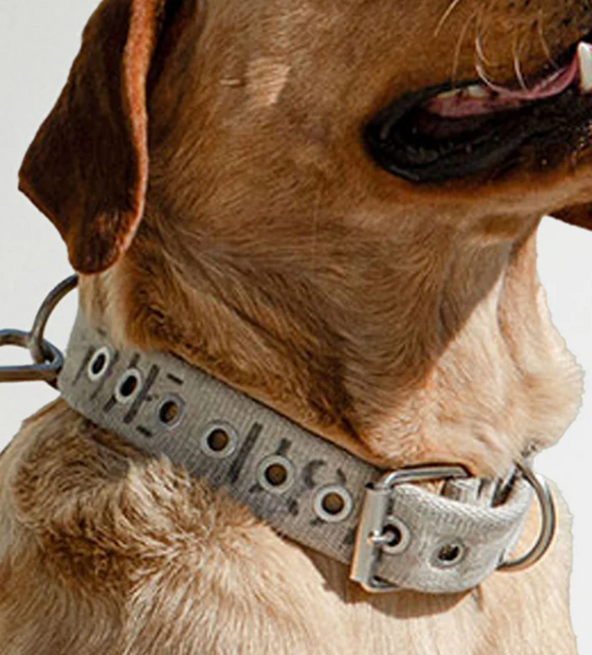 ResQ Collar