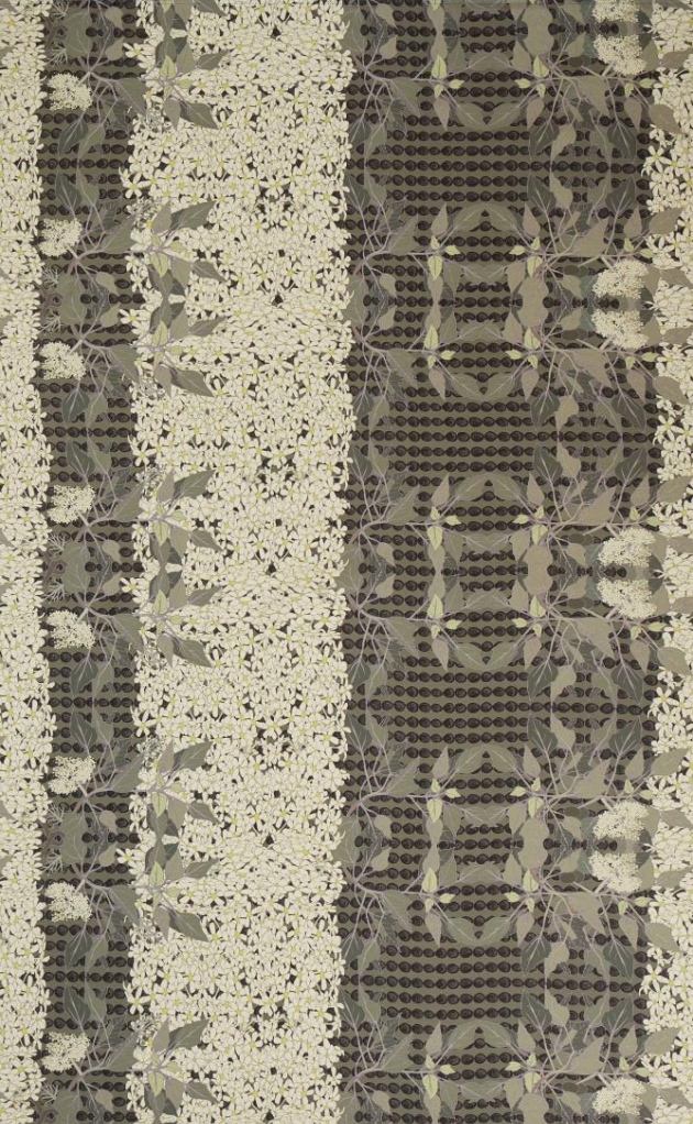 David Shepard Pareo