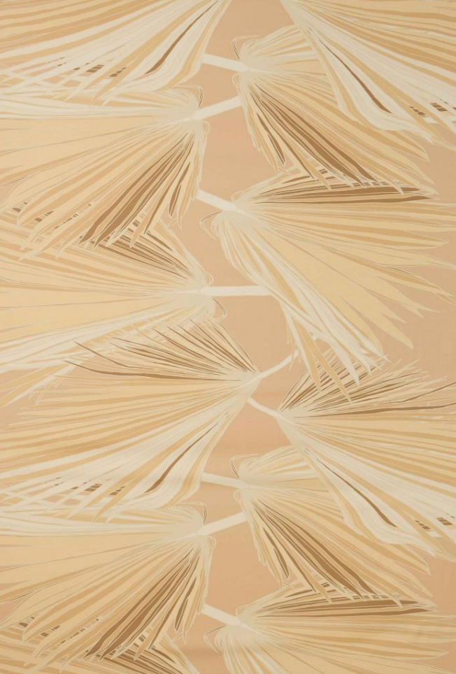 David Shepard Pareo