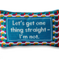 Needle Point Pillow