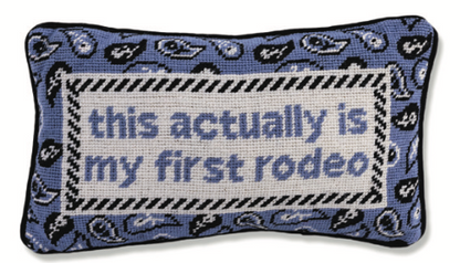 Needle Point Pillow