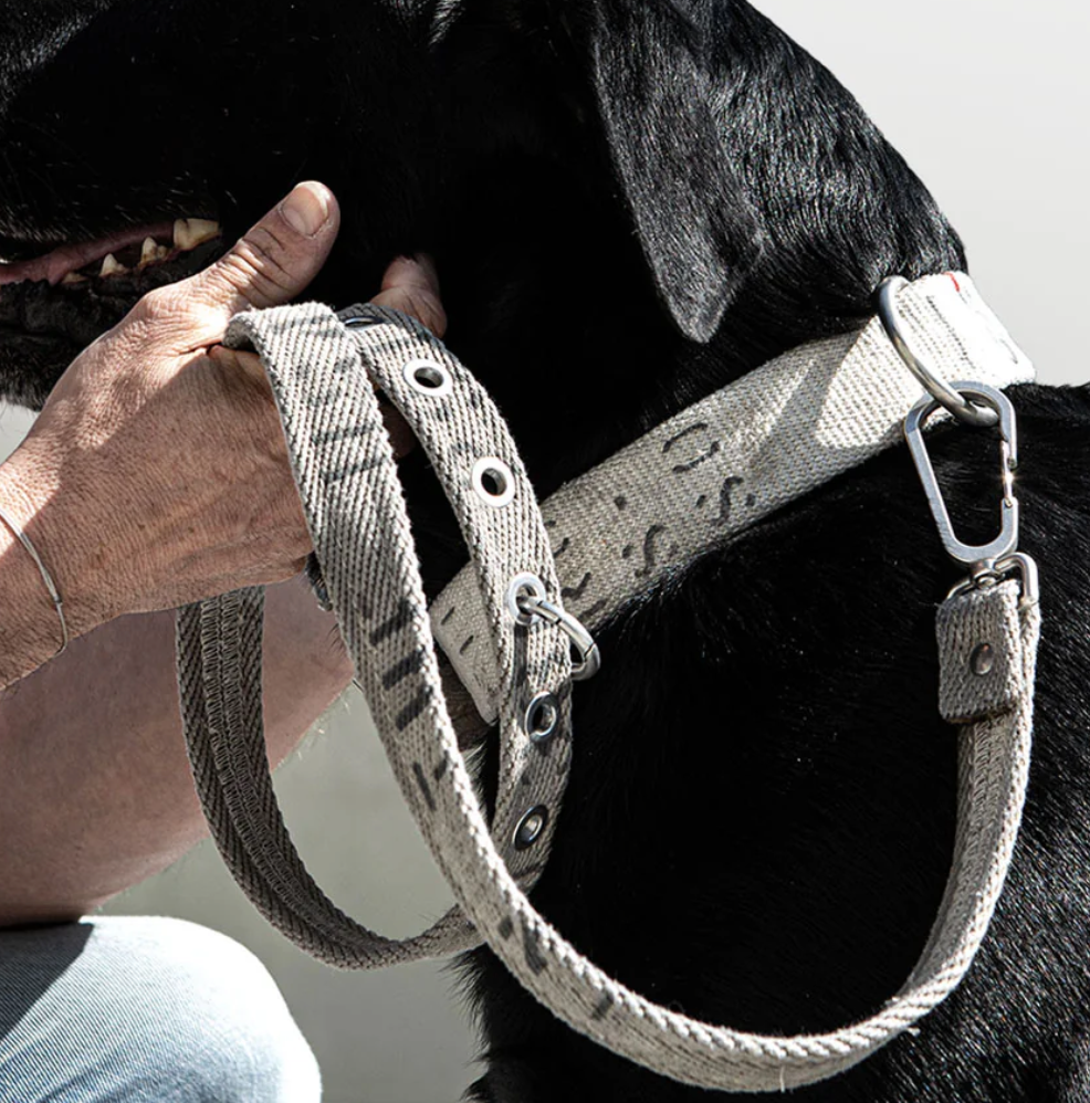 ResQ Leash