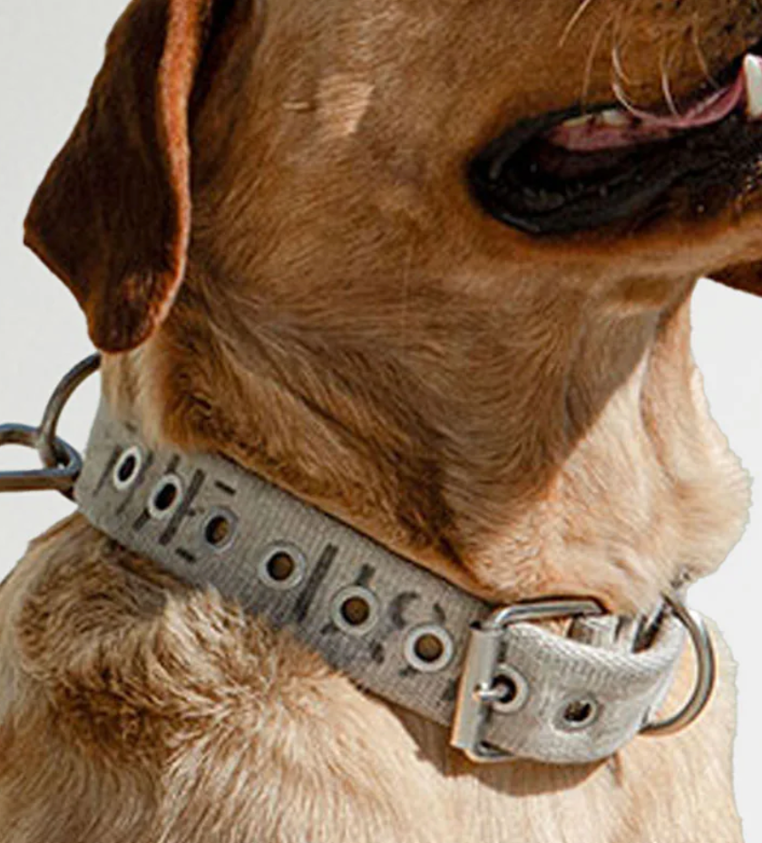 ResQ Collar