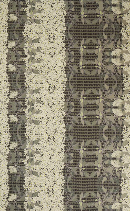 David Shepard Pareo