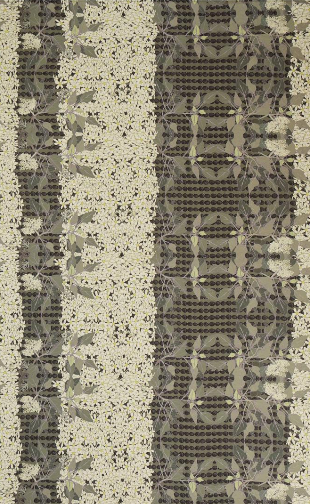 David Shepard Pareo