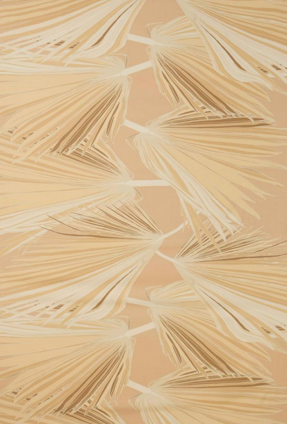 David Shepard Pareo