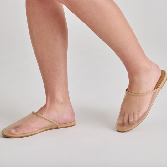 Geni Mesh Slide