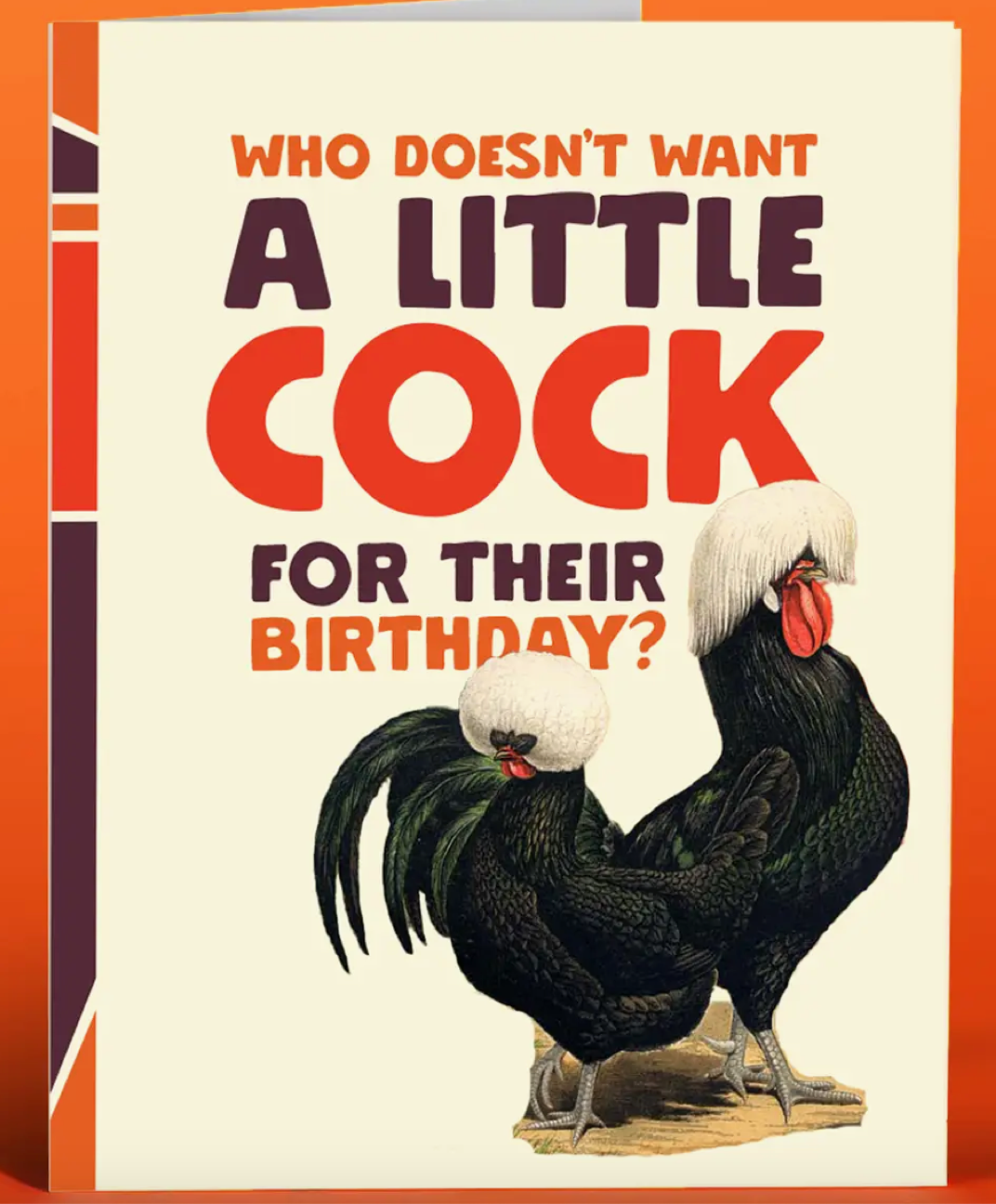 Little Cock