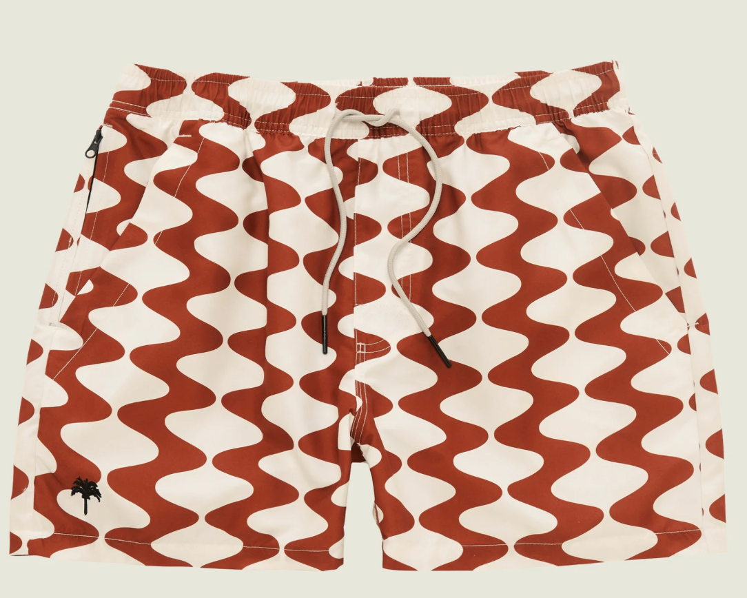 Big Lauda Swim Shorts